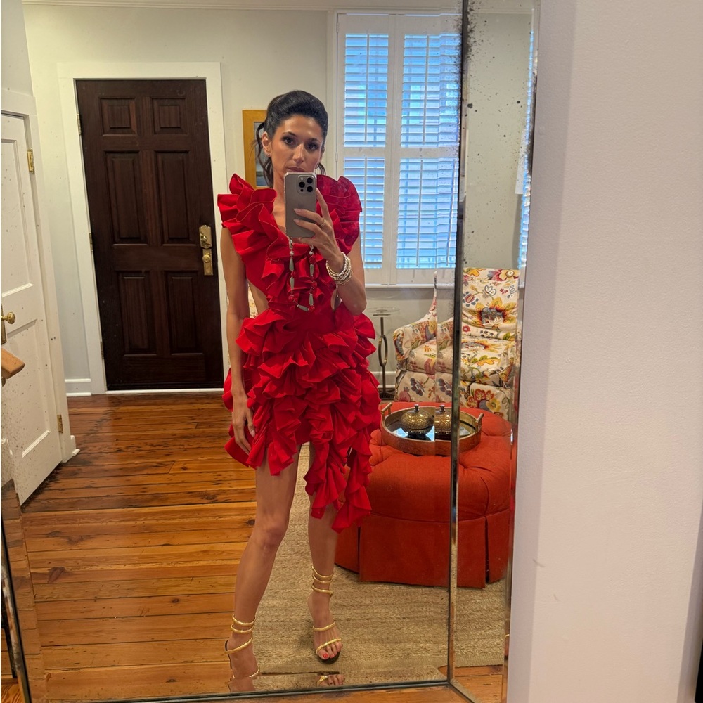 Aknvas Red Ruffled Mini Dress - Picture 4 of 5